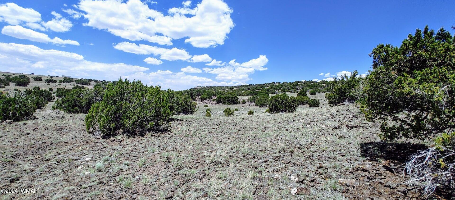 Lot 6 Big Six Ranch Concho, AZ 85924 - Photo 8 of 10