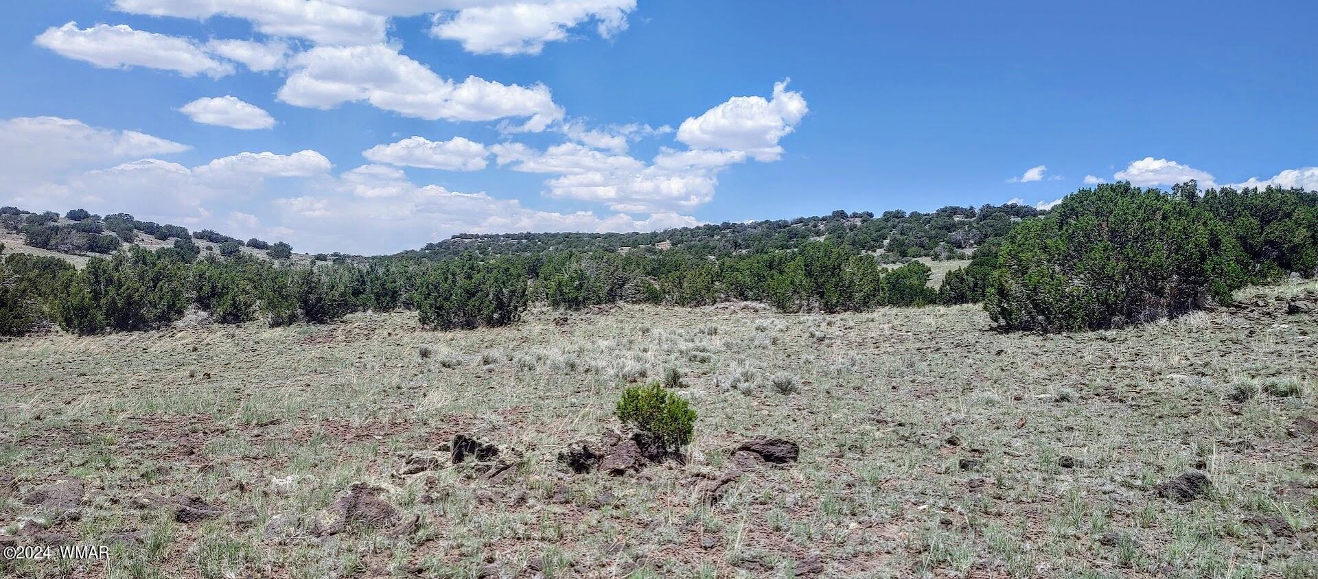 Lot 6 Big Six Ranch Concho, AZ 85924 - Photo 9 of 10