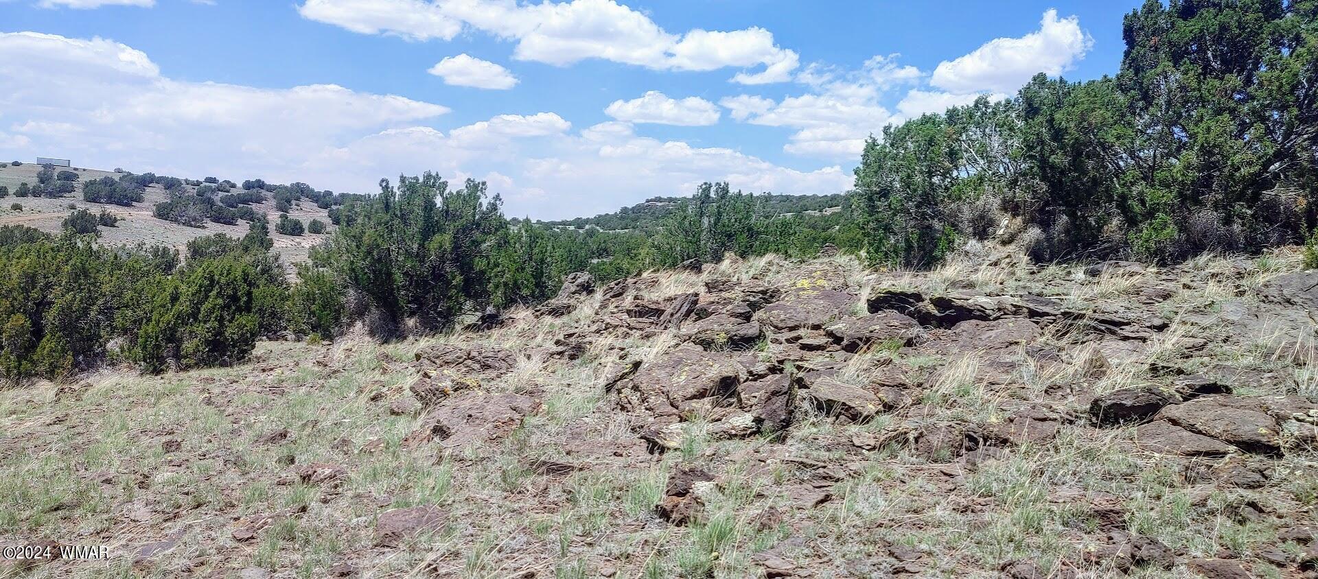 Lot 6 Big Six Ranch Concho, AZ 85924 - Photo 10 of 10