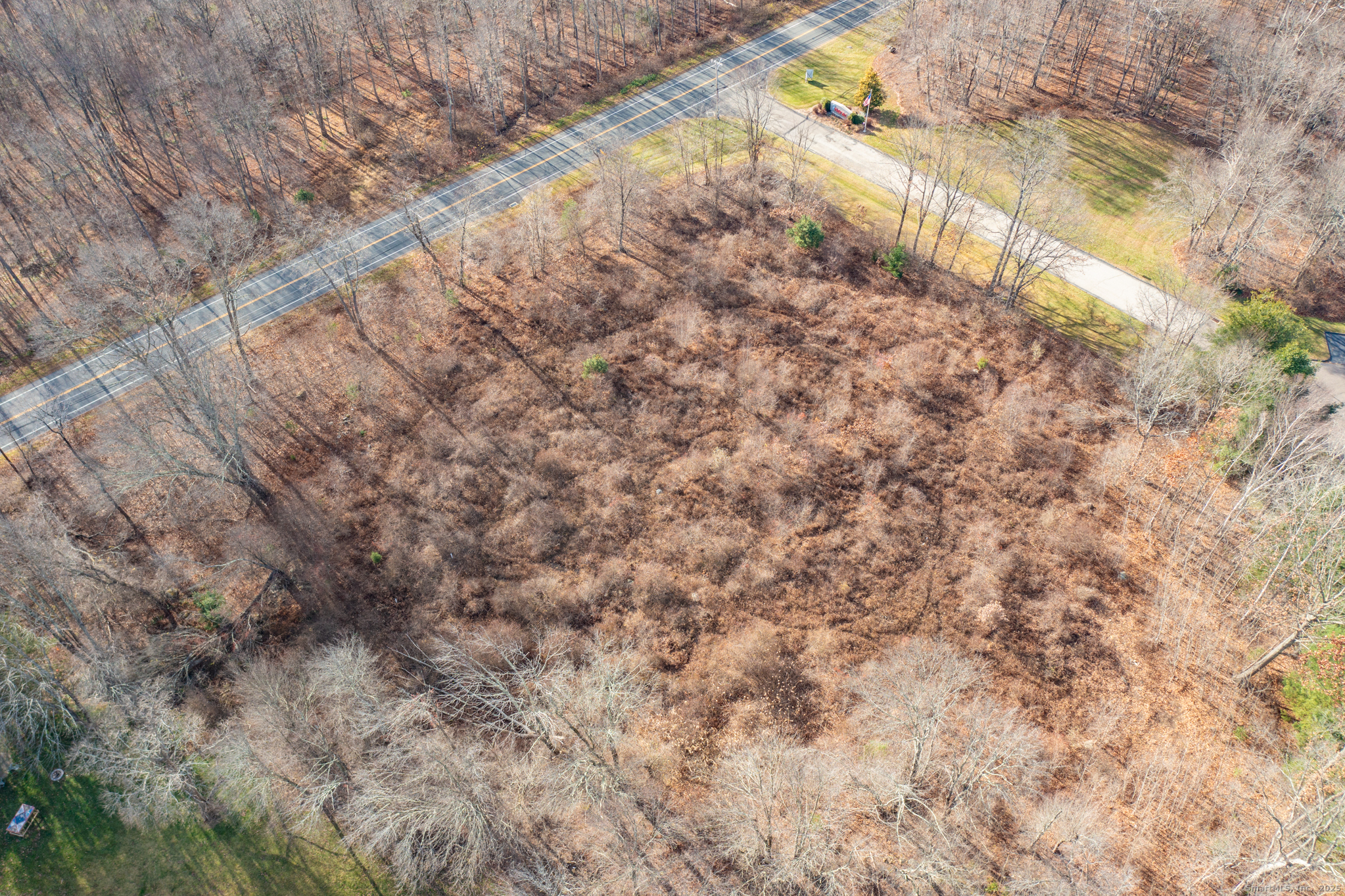 317 Merrow Road Tolland, CT 06084 - Photo 9 of 13 a view of a yard with trees