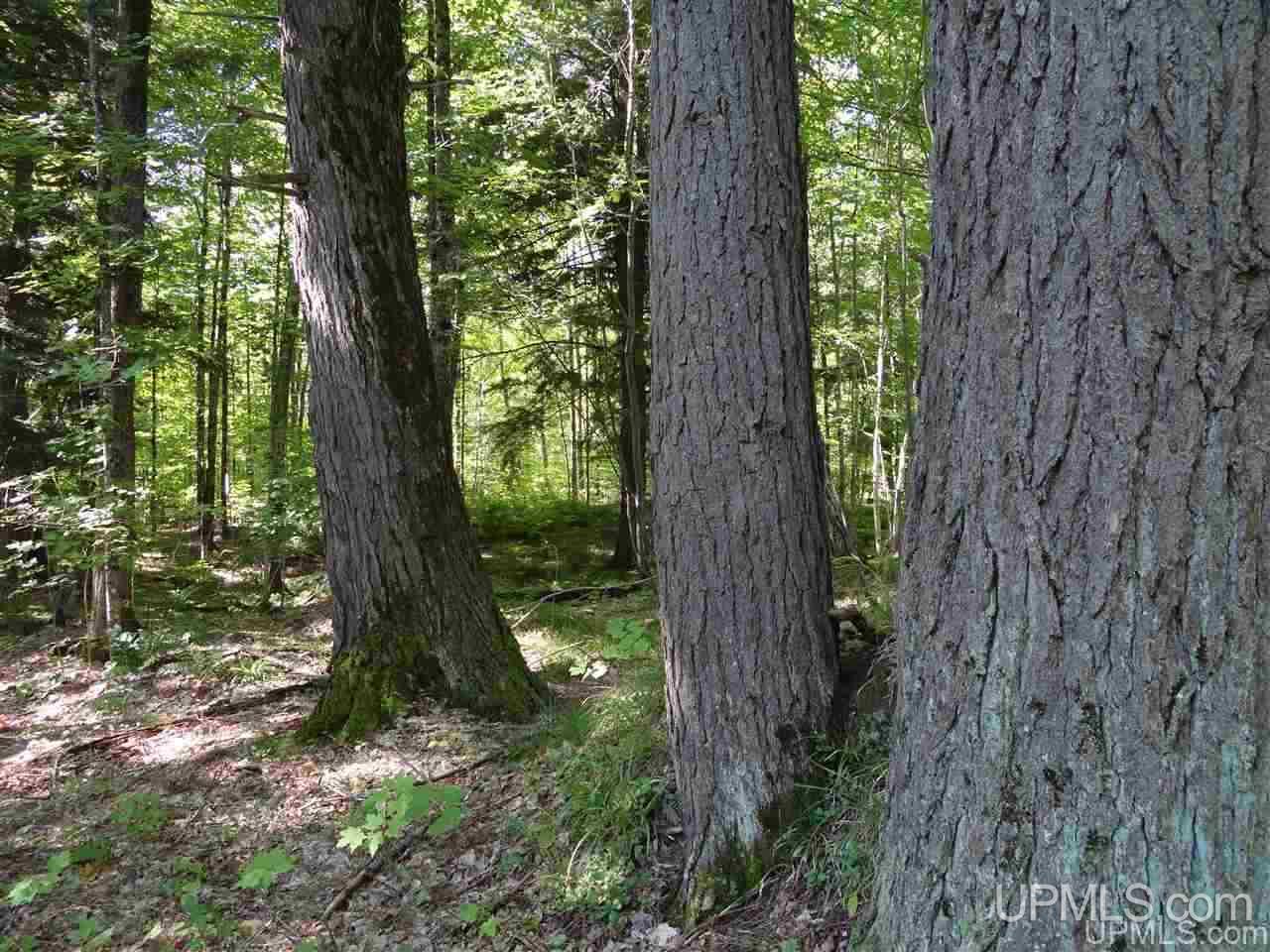 21660 Newberry Road Pelkie, MI 49958 - Photo 28 of 40