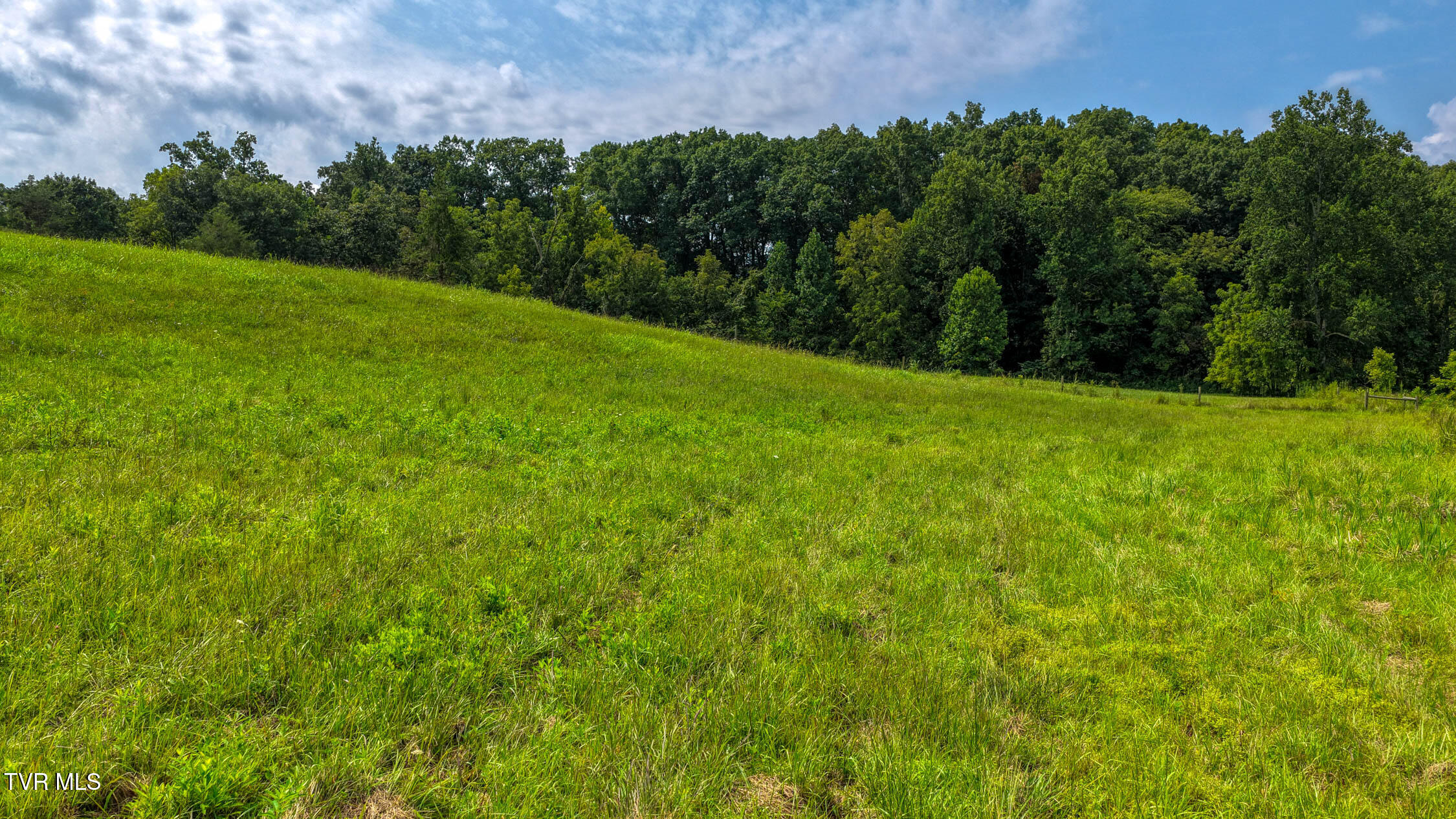244 Summit Hill Road Bulls Gap, TN 37711 - Photo 53 of 91 244 Sumit Hill. BG MLSa (25 of 65)