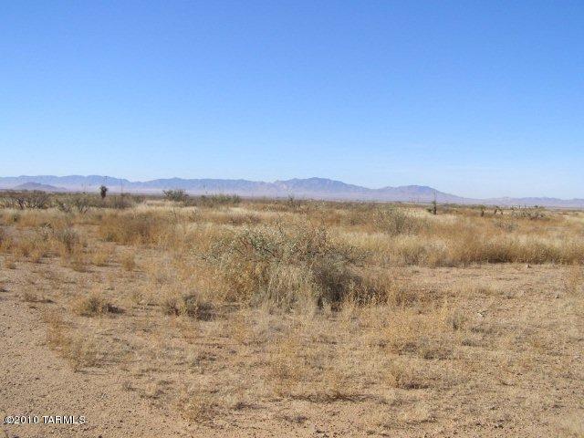 0 East Arzberger Road Willcox, AZ 85643 - Photo 4 of 5