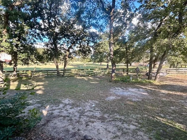 a view of dirt yard with a tree