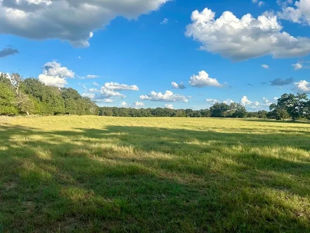 a view of a golf course with a lake