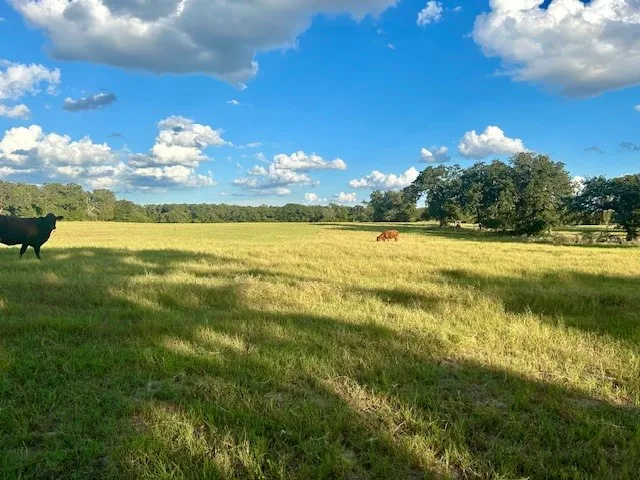 a view of an ocean and a building