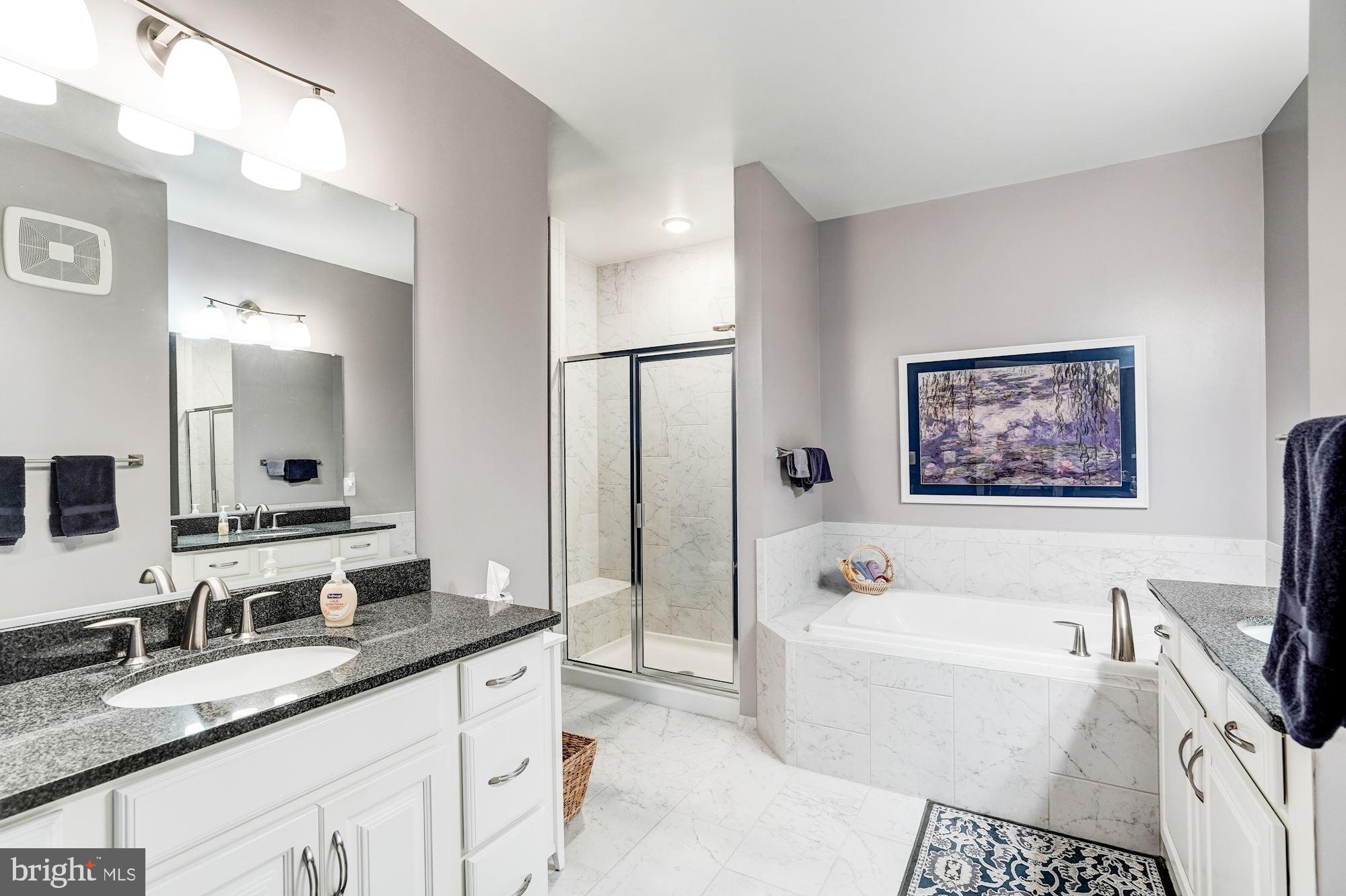 1304 Ribbon Limestone Terrace Southeast Leesburg, VA 20175 - Photo 22 of 38 Spa-like master retreat!