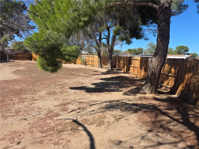 a view of a yard with plants and trees