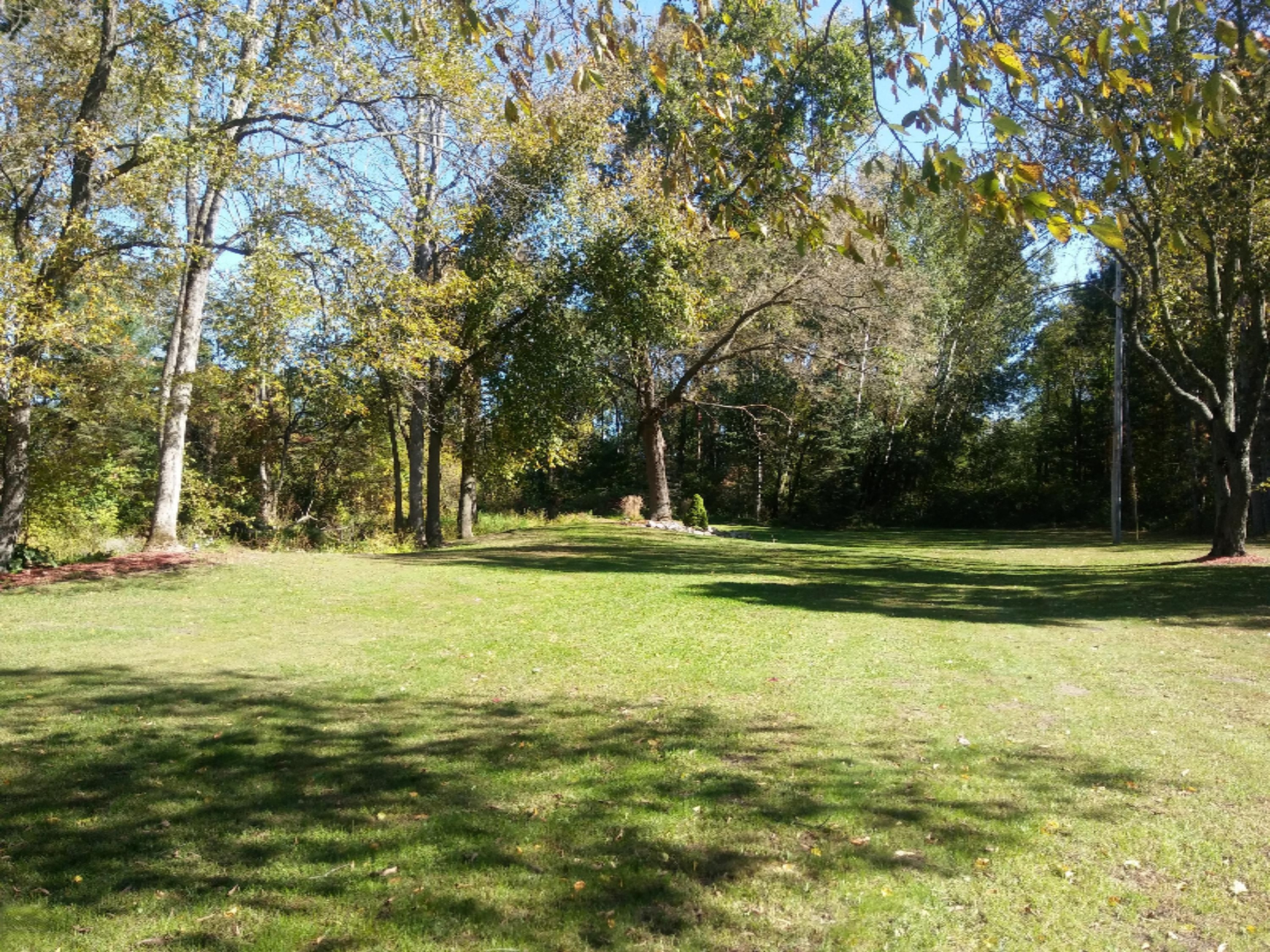 7537 South Maple Island Road Fremont, MI 49412 - Photo 14 of 23 20181004_141433