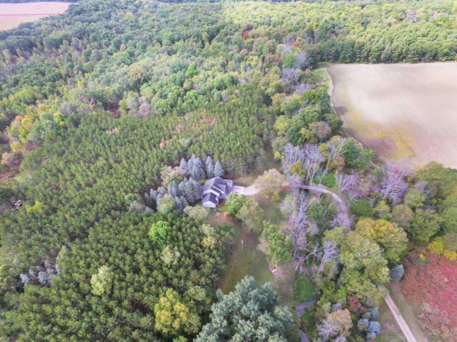 7537 South Maple Island Road Fremont, MI 49412 - Photo 19 of 23 JORHZ32A
