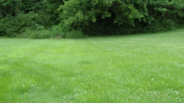 a view of a green yard