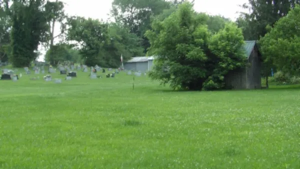 a view of a green field with trees in the background