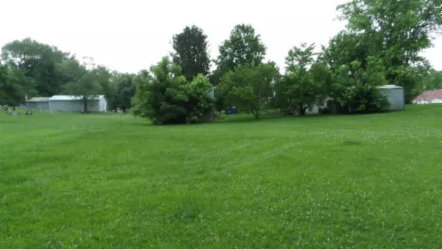 a view of a grassy field with trees