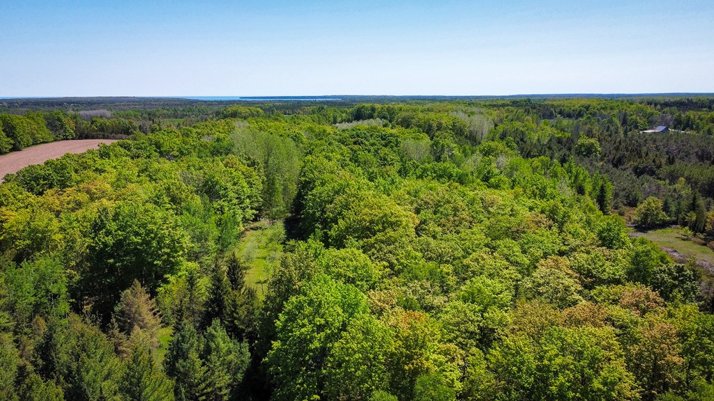1863 Hill Road Sister Bay, WI 54234 - Photo 40 of 48