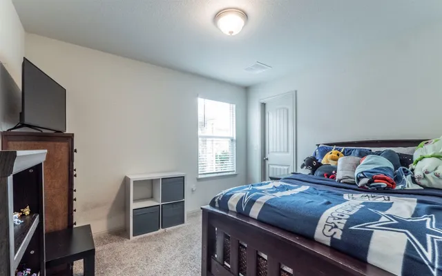 a bedroom with a bed and a flat screen tv