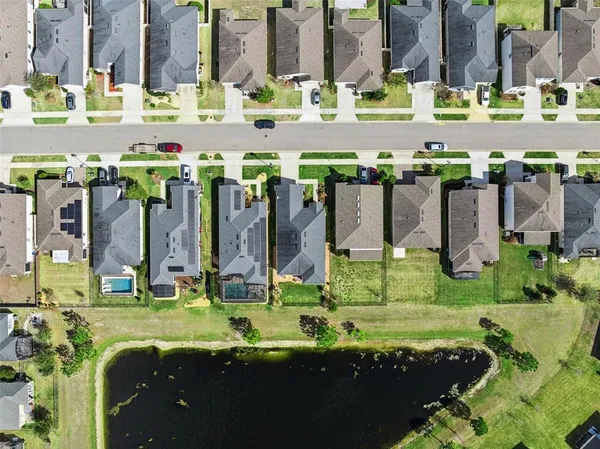 a view of swimming pool with a yard and palm trees