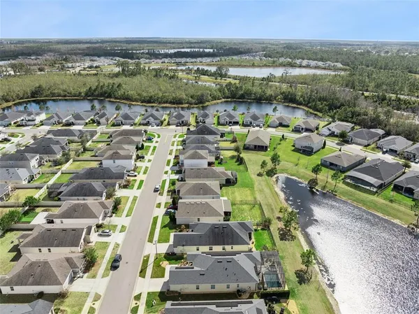 a view of a backyard with large trees and plants