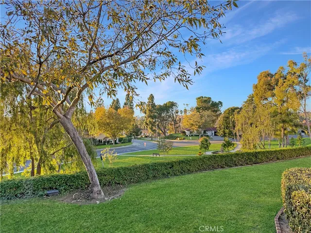 a view of a park with large trees