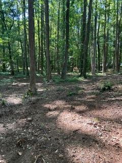 46 Davis Road Hiram, GA 30141 - Photo 1 of 17 a view of a forest with trees