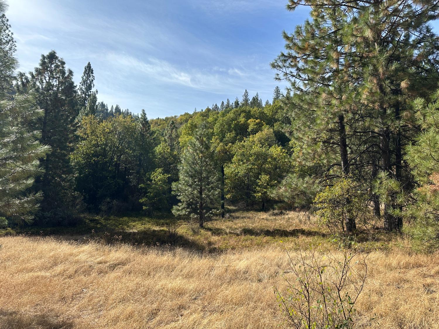 3685 Summit Level Road Rail Road Flat, CA 95248 - Photo 1 of 1 a view of outdoor space and yard
