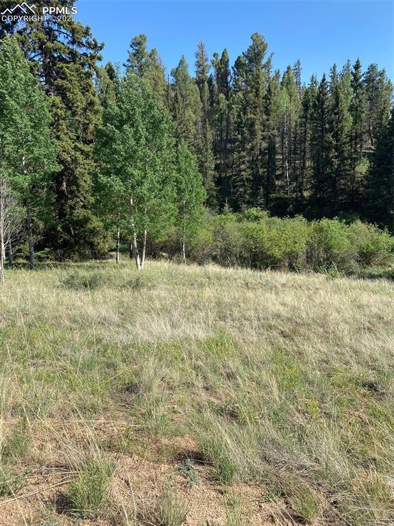 1164 Arapahoe Creek Trail, Florissant, CO 80816 Compass