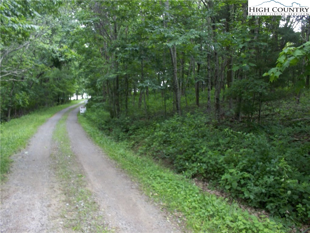 Mitchell Mountain Road Roads Sparta, NC 28675 - Photo 4 of 5 Gallery Image 4