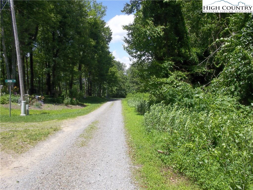 Mitchell Mountain Road Roads Sparta, NC 28675 - Photo 5 of 5 Gallery Image 5