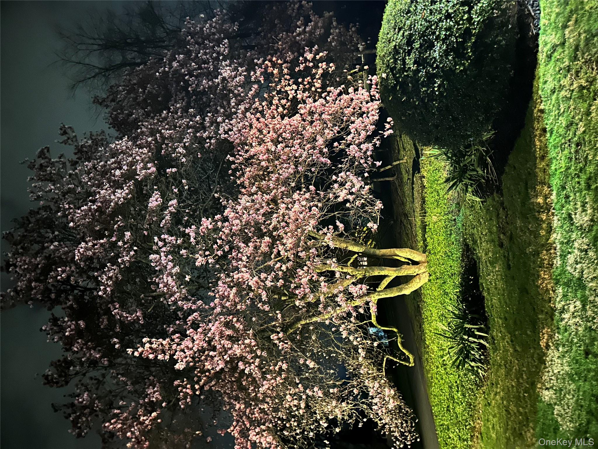 36 Vassar View Road Poughkeepsie, NY 12603 - Photo 28 of 31 a view of a garden with a tree