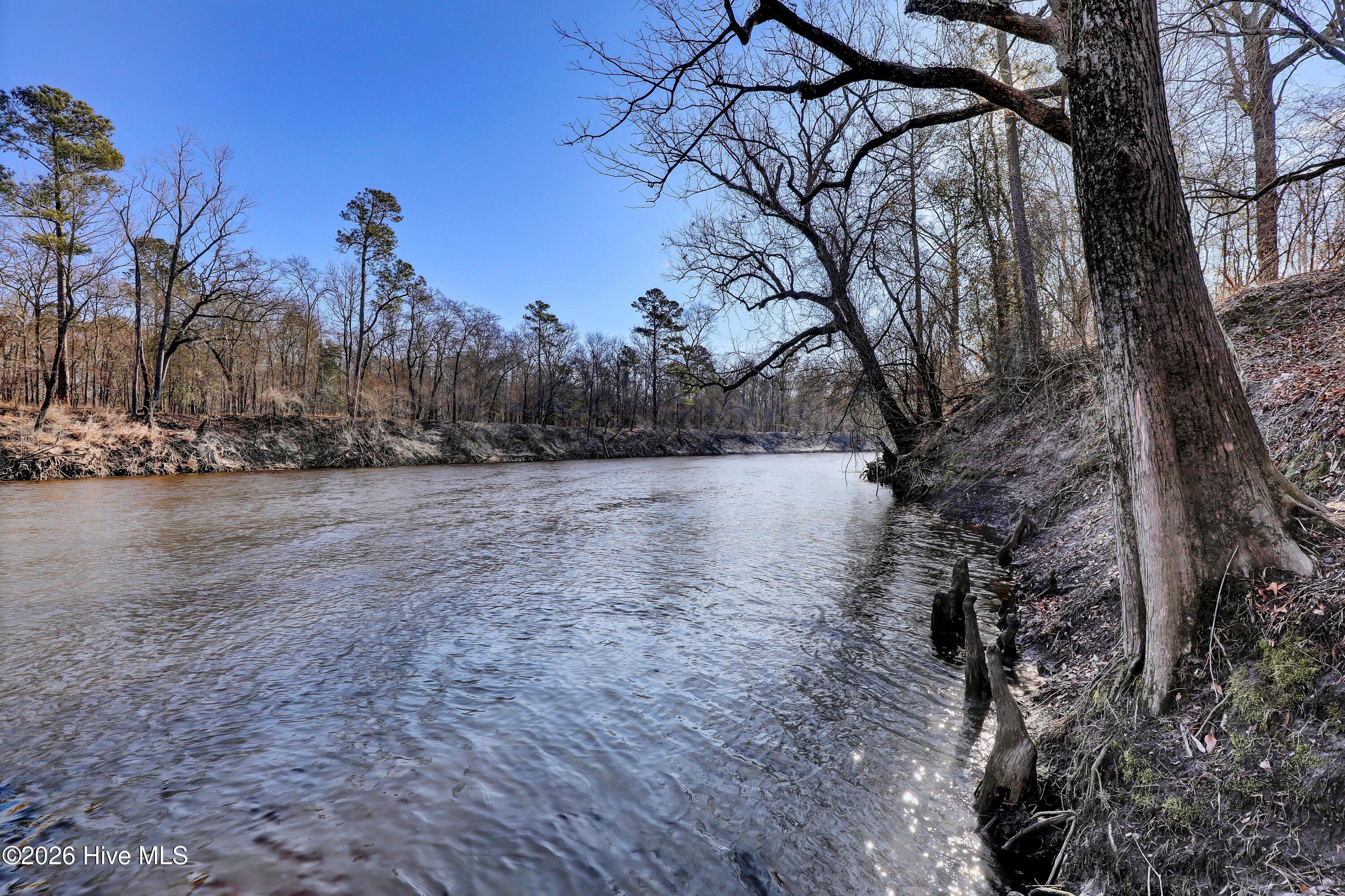 Lot 19 Ruddy Duck Lane Willard, NC 28478 - Photo 10 of 34 011_6g8a1533_801