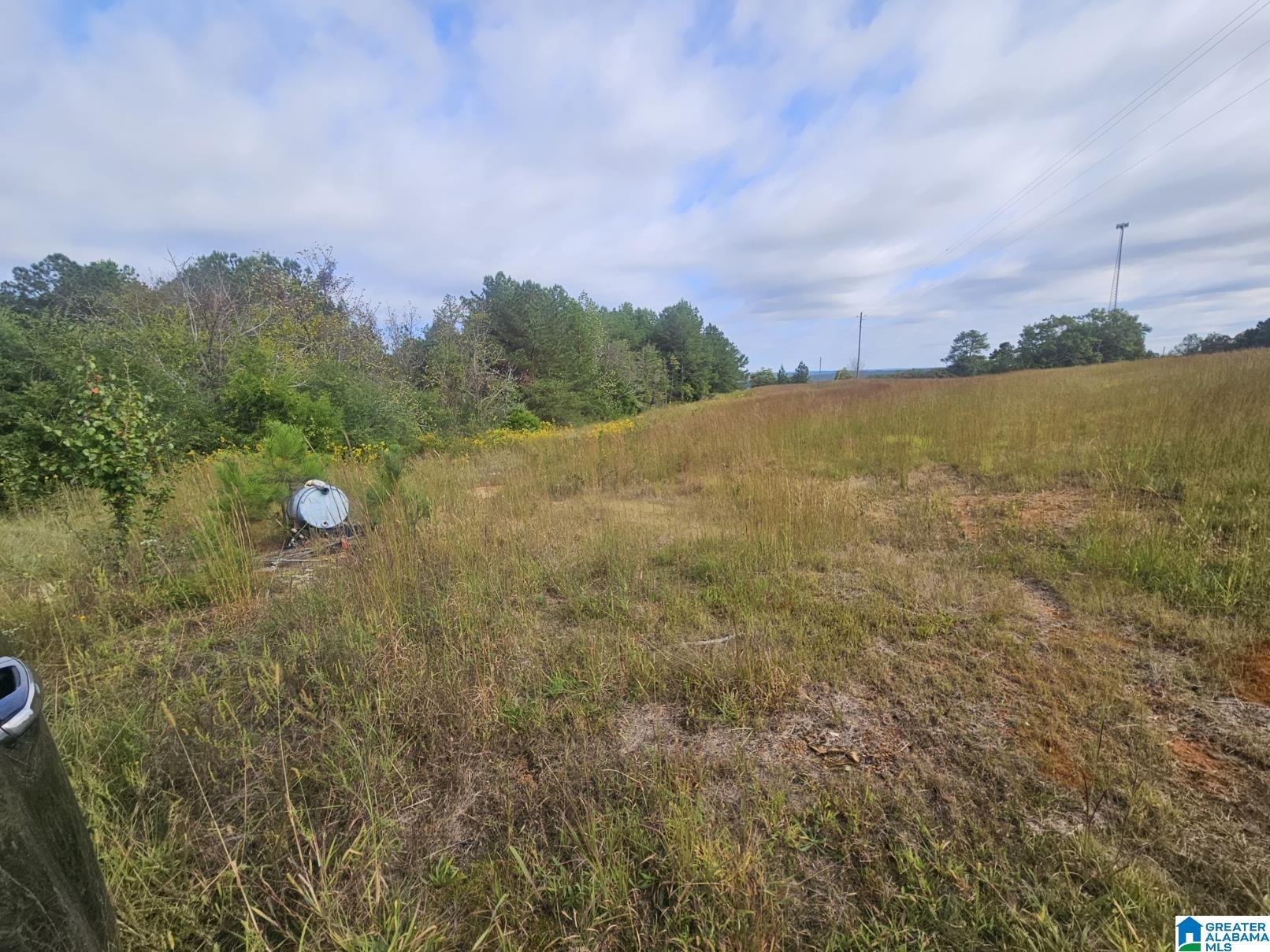5288 Highway 27 Springville, AL 35146 - Photo 23 of 25