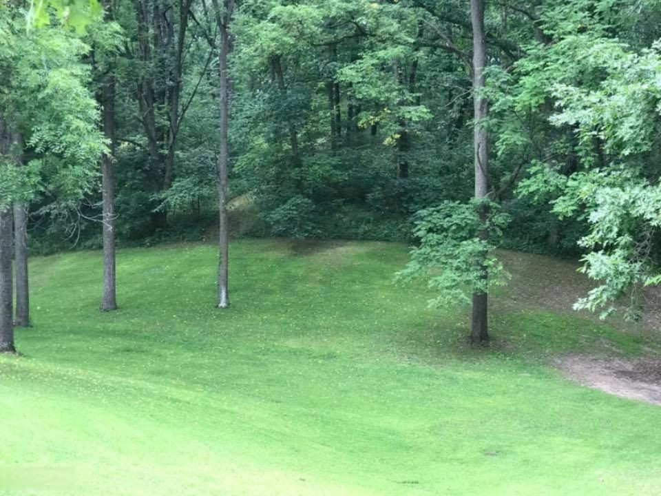 8540 West Montgomery Road Camden, MI 49232 - Photo 14 of 27 pv14