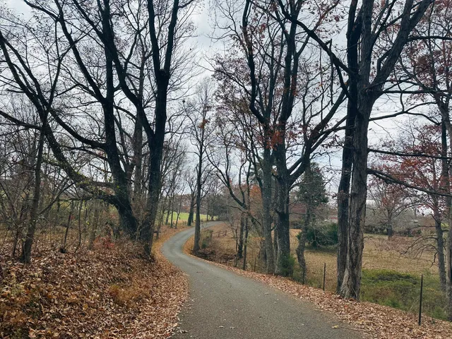 $325,000 | 481 Hitchcock Road, Dunlap, TN 37327