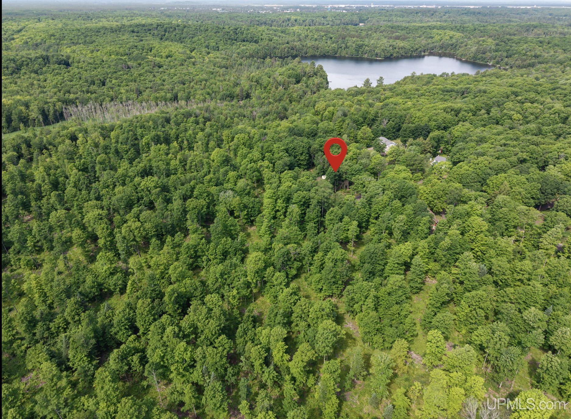 1658 Engman Lake Road Skandia, MI 49885 - Photo 36 of 50