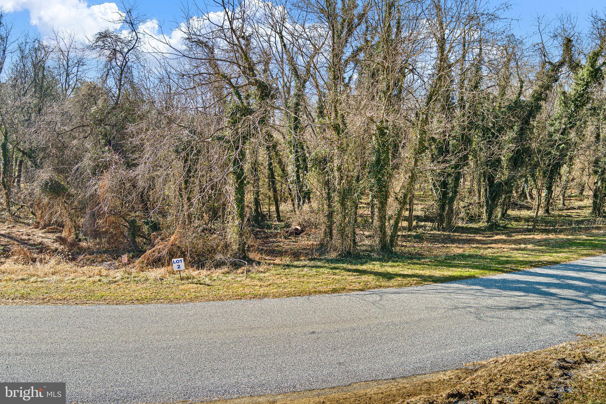 2 Sassafras Cove Road Galena, MD 21635 - Photo 15 of 16 a view of swimming pool with trees
