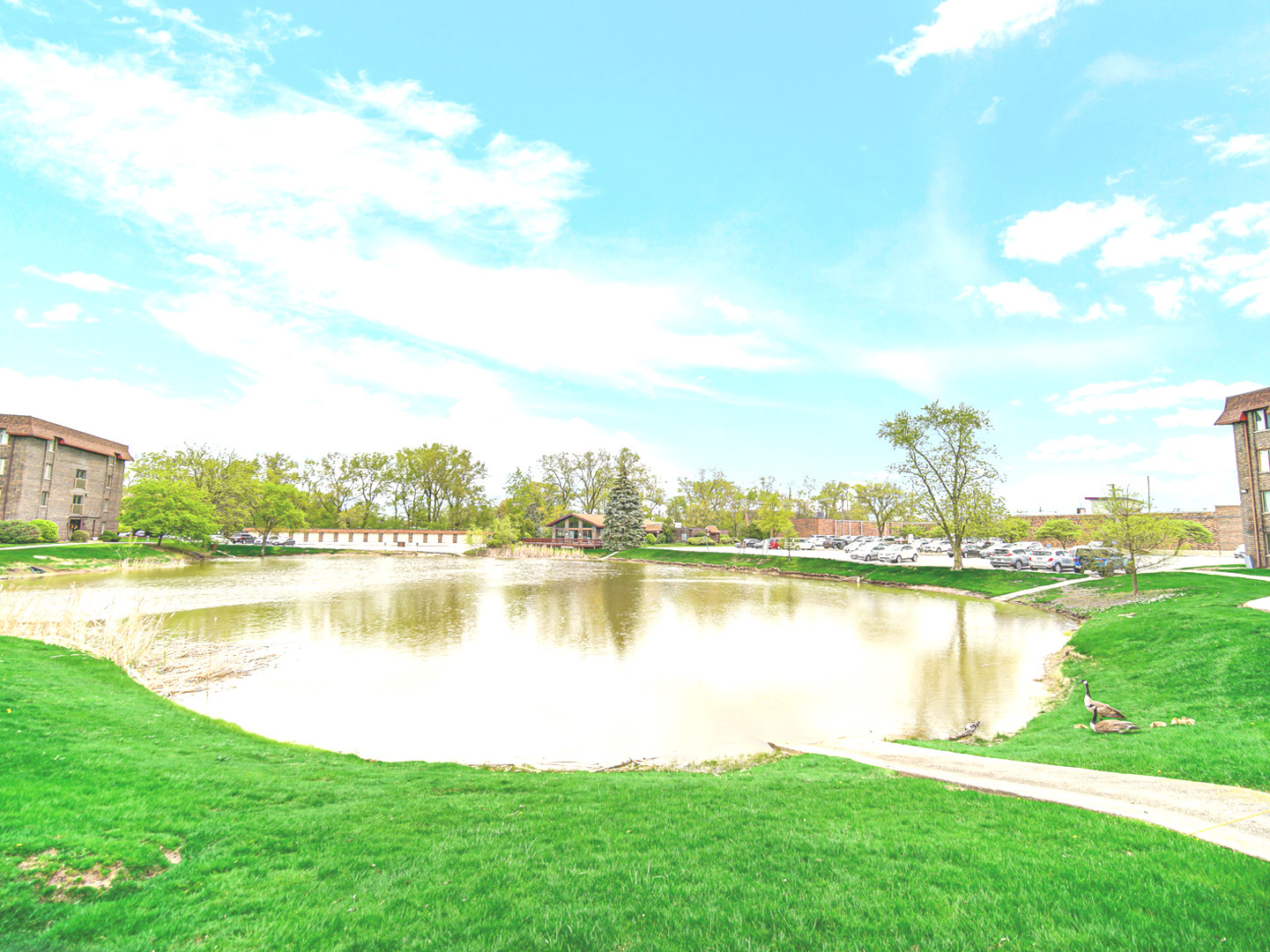 820 Elder Road, Unit C115 Homewood, IL 60430 - Photo 7 of 37