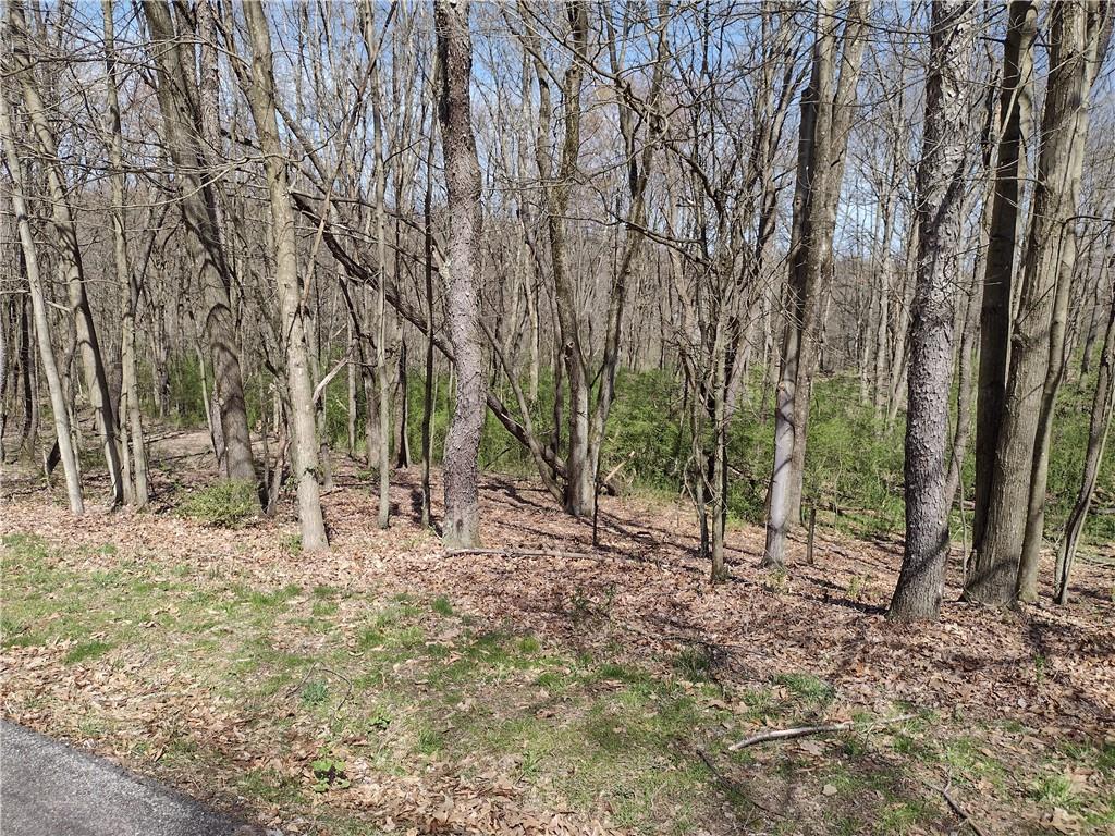 0 Tenacity Trail Mars, PA 16046 - Photo 2 of 9