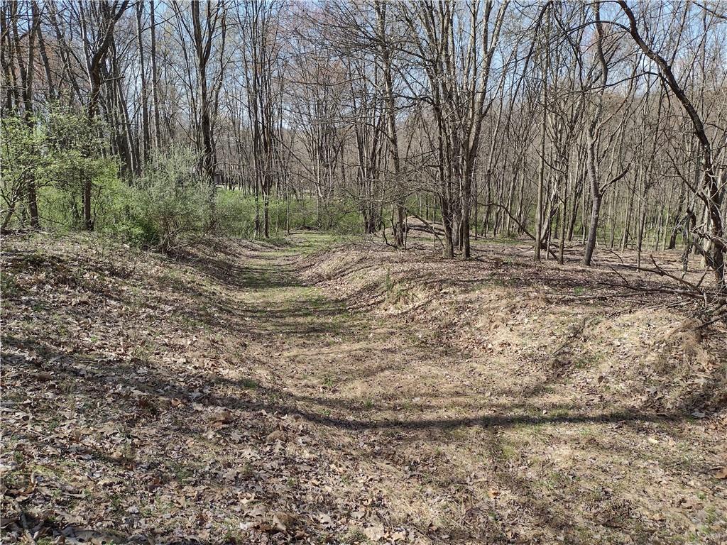 0 Tenacity Trail Mars, PA 16046 - Photo 3 of 9