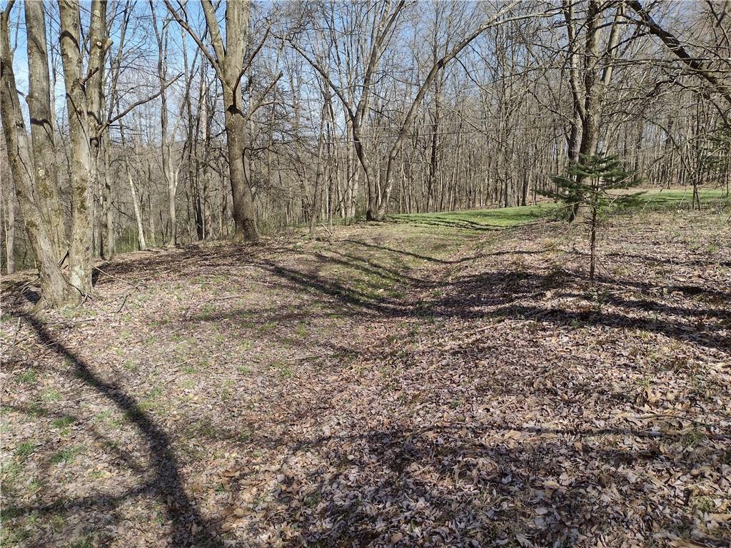 0 Tenacity Trail Mars, PA 16046 - Photo 4 of 9