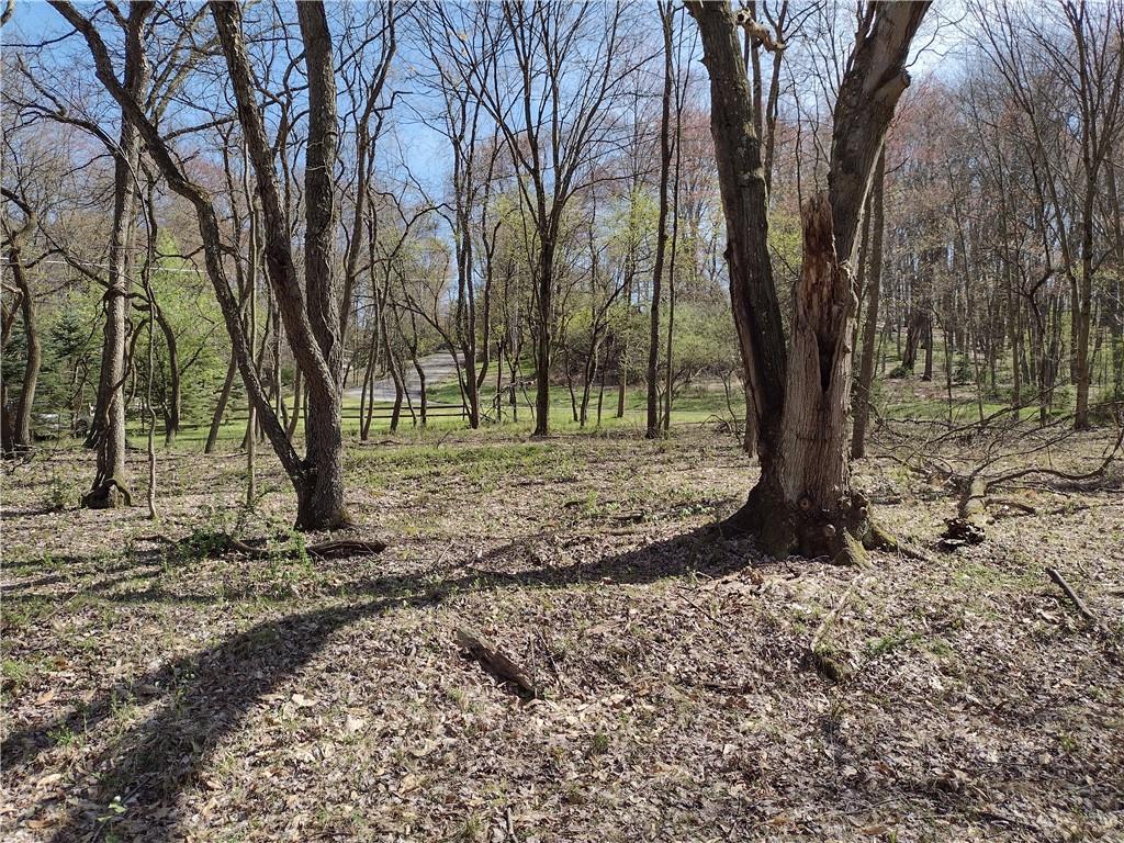 0 Tenacity Trail Mars, PA 16046 - Photo 5 of 9