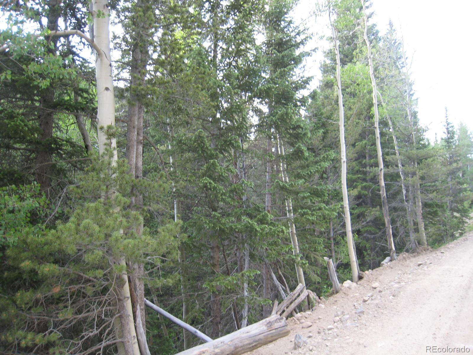 4301 Apex Valley Road Idaho Springs, CO 80452 - Photo 11 of 24 Gallery Image 11