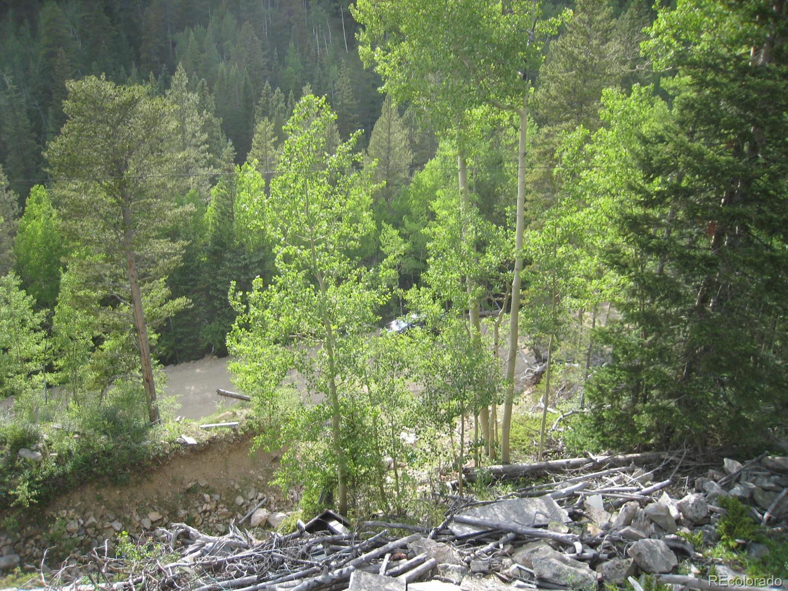 4301 Apex Valley Road Idaho Springs, CO 80452 - Photo 13 of 24 Gallery Image 13