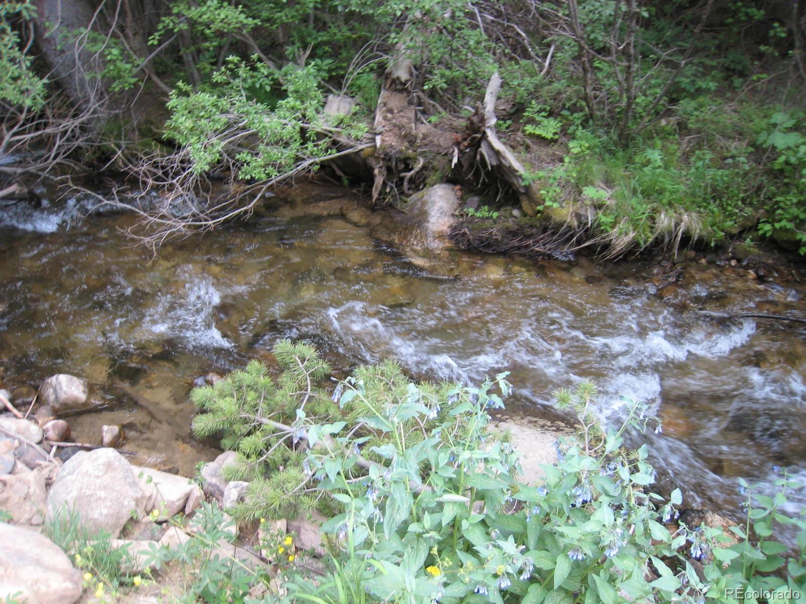 4301 Apex Valley Road Idaho Springs, CO 80452 - Photo 3 of 24 Gallery Image 3