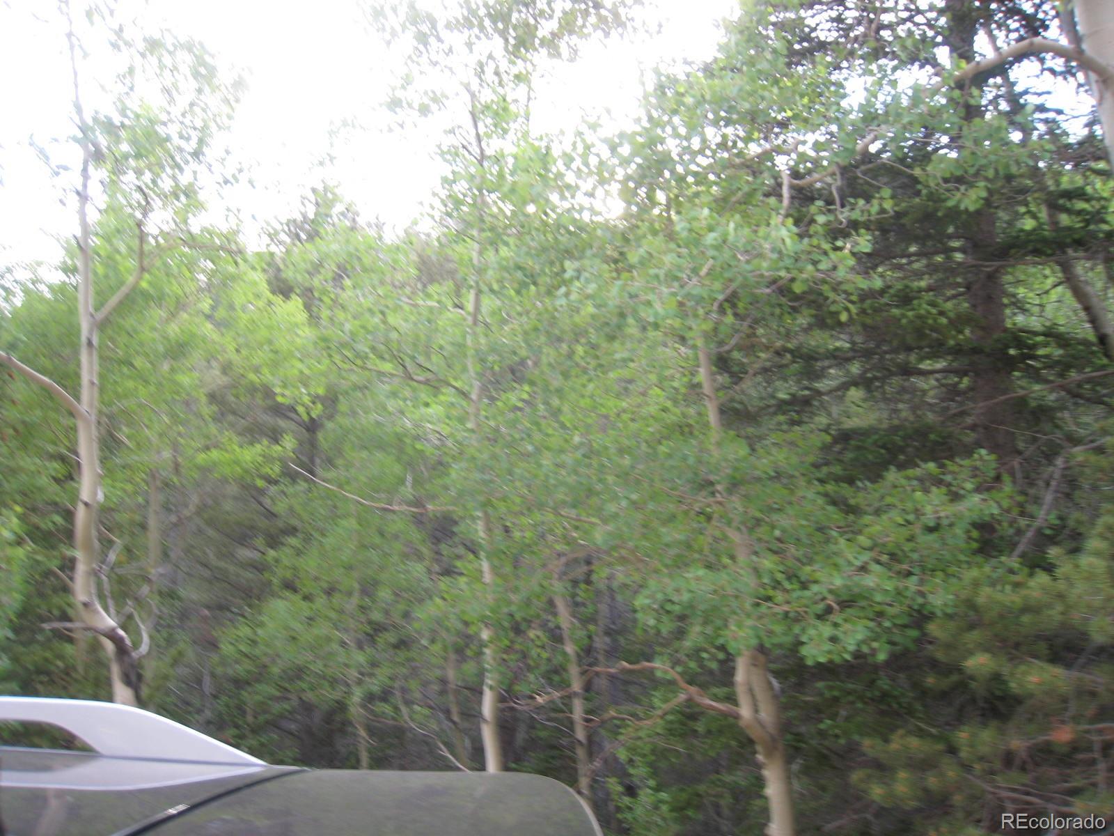 4301 Apex Valley Road Idaho Springs, CO 80452 - Photo 7 of 24 Gallery Image 7