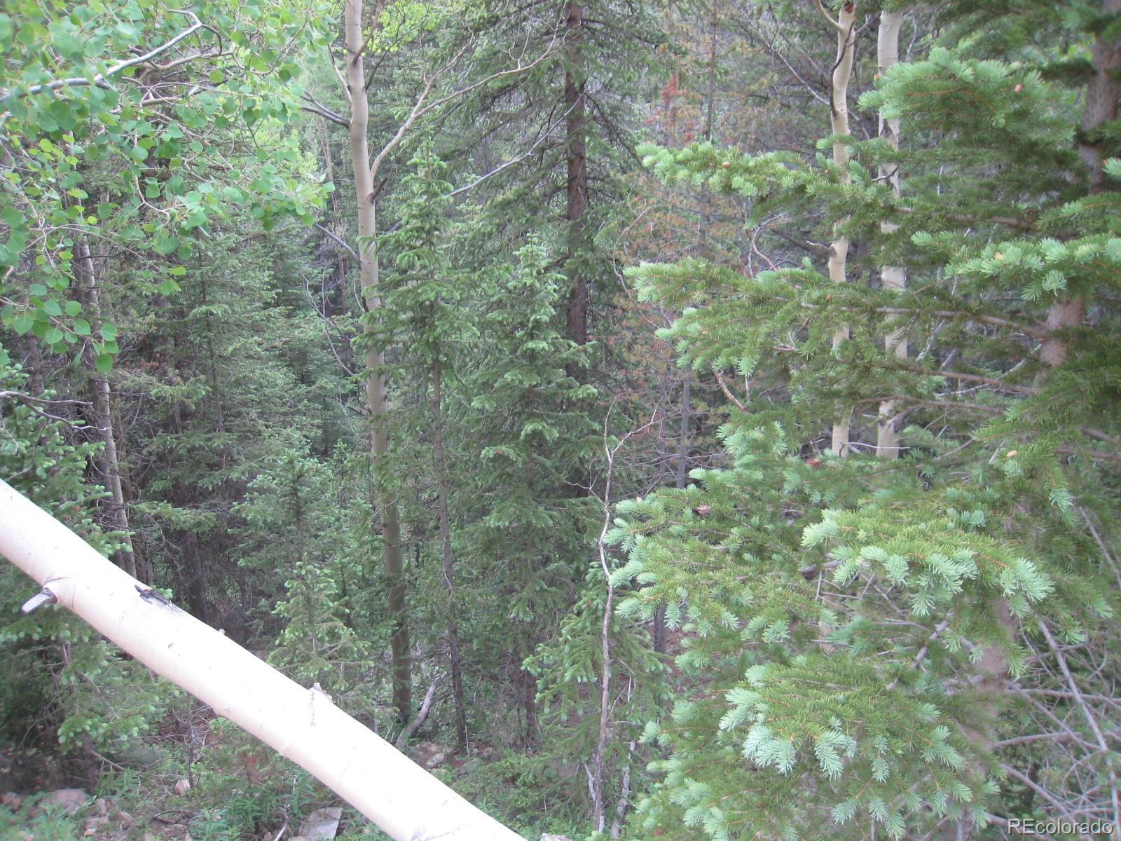 4301 Apex Valley Road Idaho Springs, CO 80452 - Photo 10 of 24 Gallery Image 10