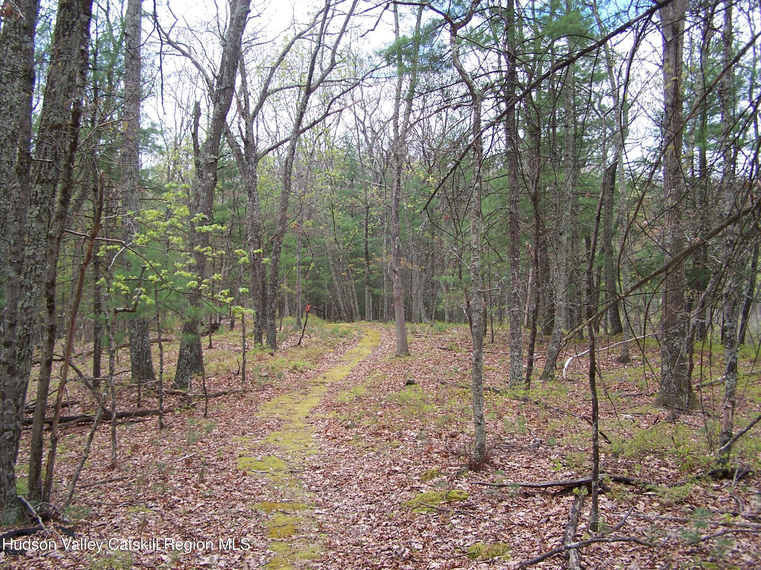 Tbd Heinle Road Kingston, NY 12401 - Photo 13 of 17 d13