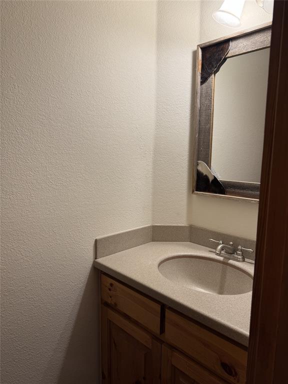 655 Loftice Road Gunter, TX 75058 - Photo 22 of 29 a bathroom with a sink and a mirror