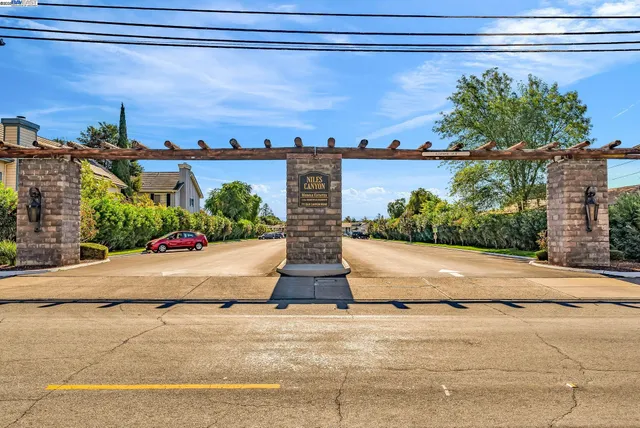 an aerial view of a house with a yard and potted plants