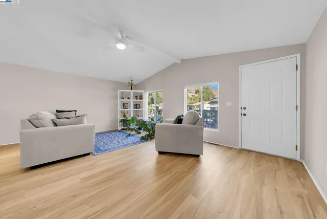 a living room with furniture and a potted plant