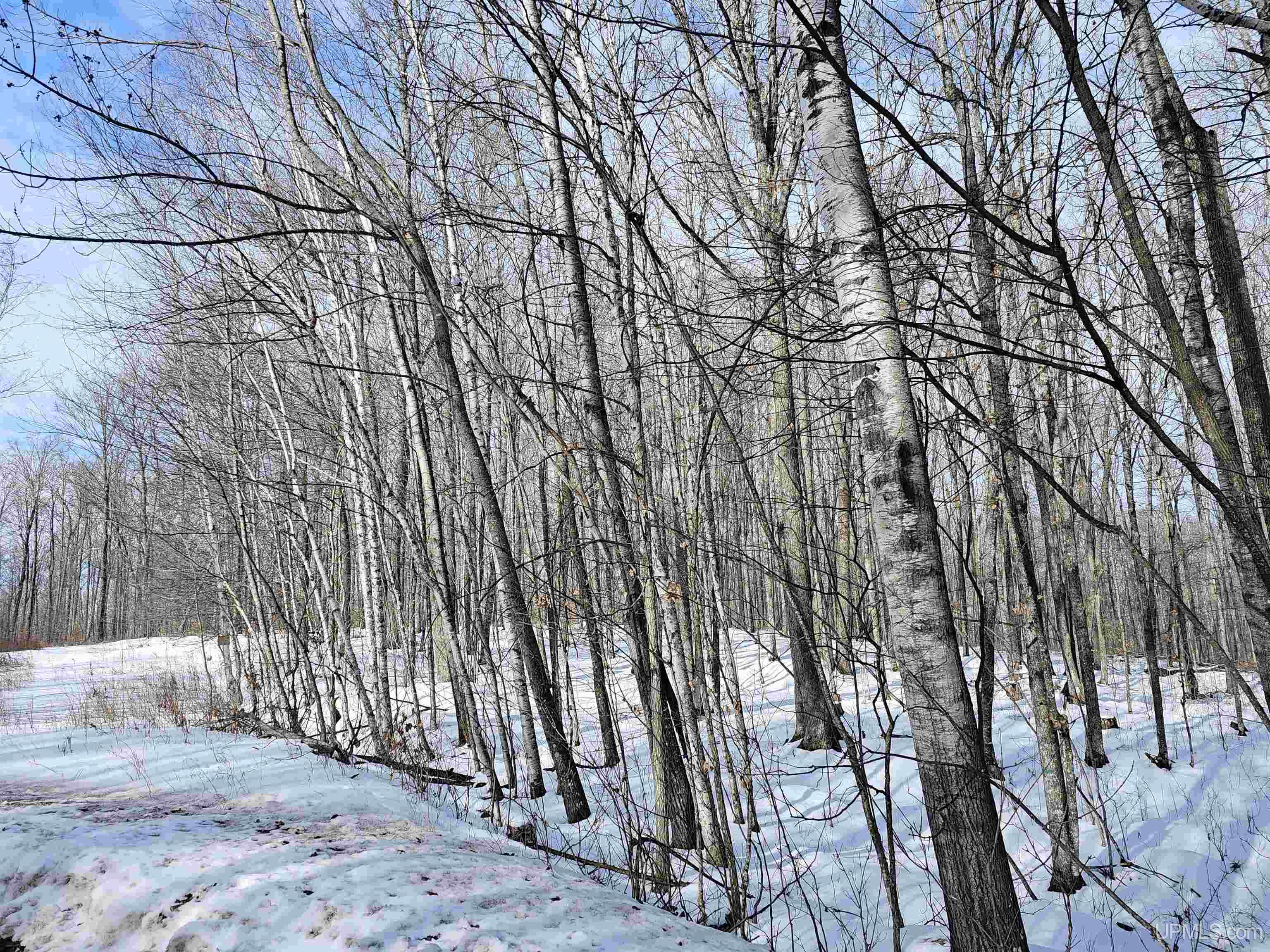 Tbd Little Bear Road Iron River, MI 49935 - Photo 4 of 8
