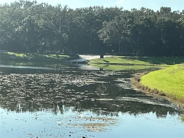 a view of a lake with couches and wooden floor